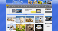 Desktop Screenshot of bestfon.info